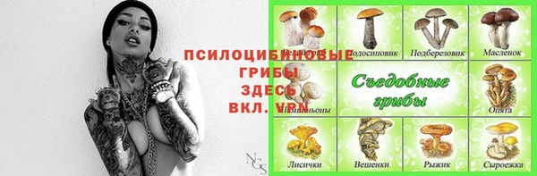 Альфа ПВП Алексеевка